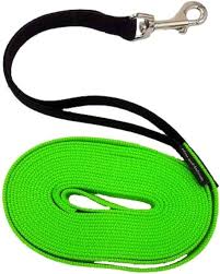 Flexibelt hundkoppel med jerk-absorberande