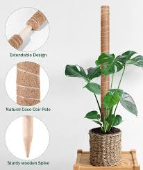 2-pack 40 cm Mossa Stänger med 20 Justerbara Växtband