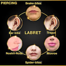 3-pack Bioplast Monroe Labret med Kristallkula - Vertikal Läppörhänge