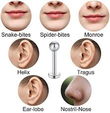 Funseedrr 8-pack Läppstiftslabret Helix Tragus Örhängen