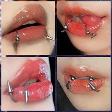 BodyAce 16g Spik Septum Näsring i Rostfritt Stål