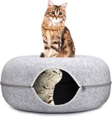 Kattgrotta och Tunnelleksak