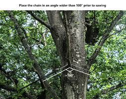 Nordic Pocket Saw ARBORIST - Höghöjdssägning för grenar